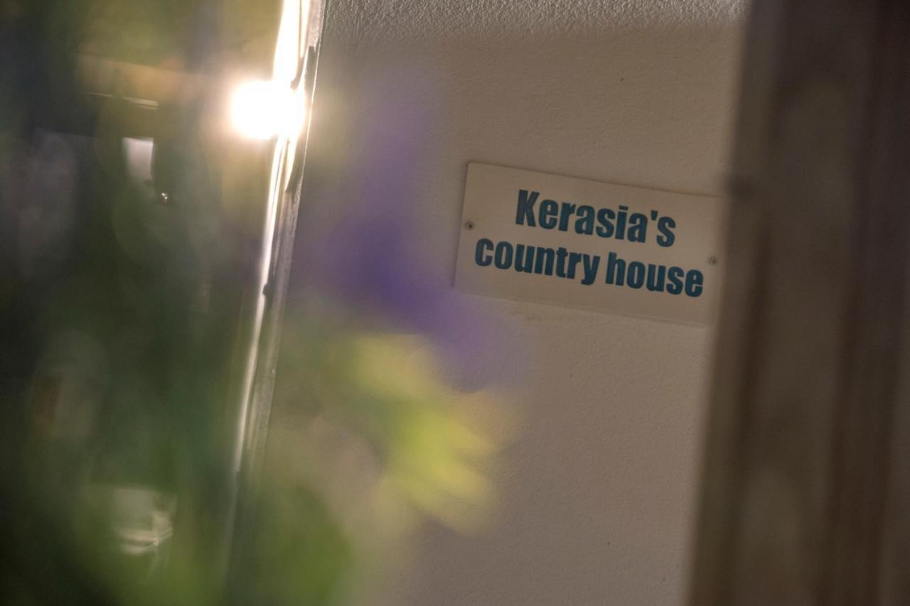 Kerasia'S Country House Apartamento Volos Exterior foto